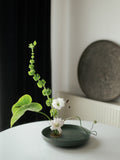 Ikebana Studio